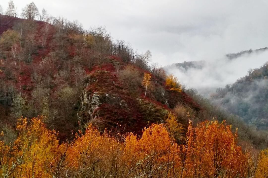 Photo of Others in Conques