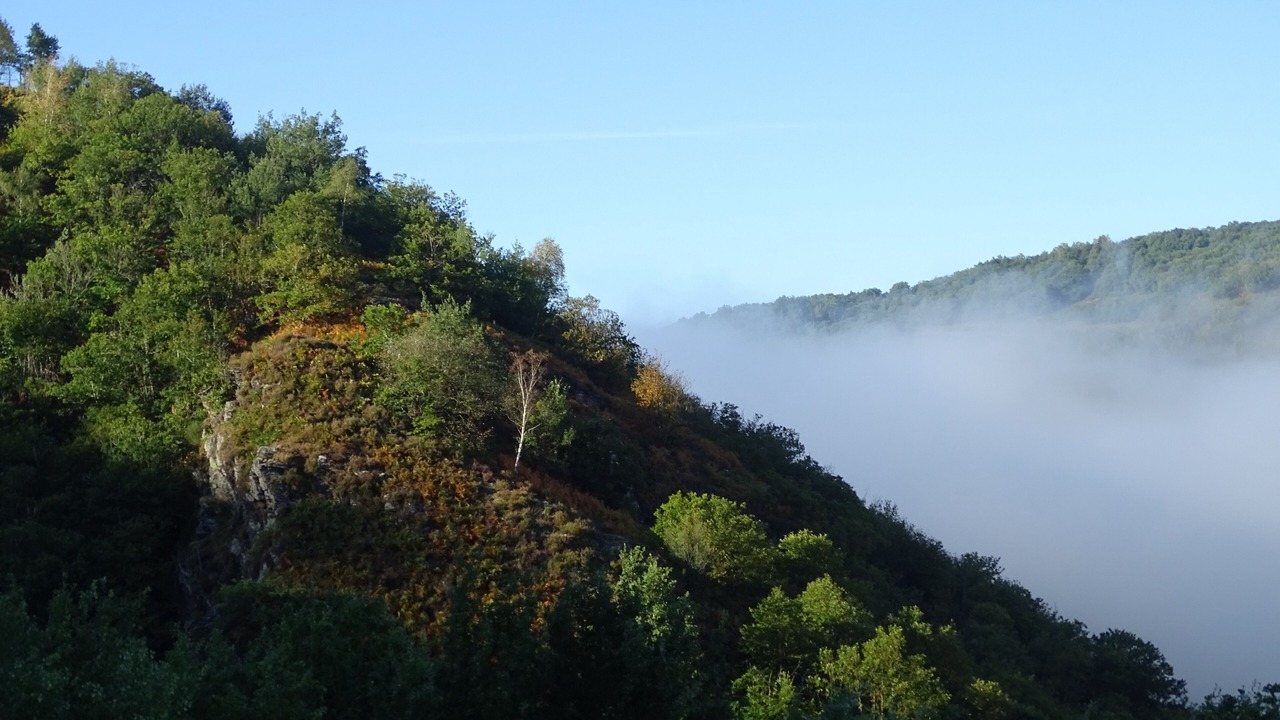 Photo of Others in Conques