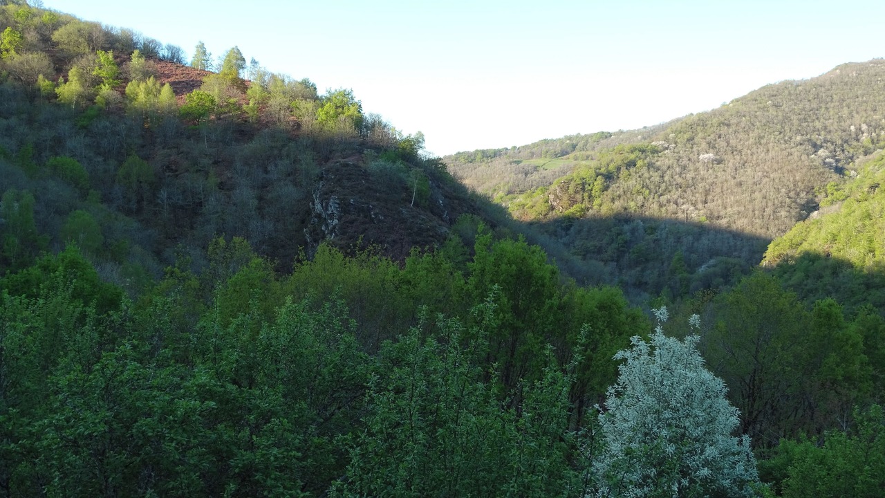 Photo of Others in Conques