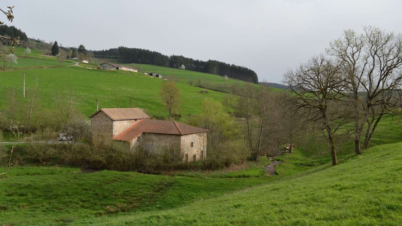 Photo of Outdoor in Saint-Bonnet-le-Troncy