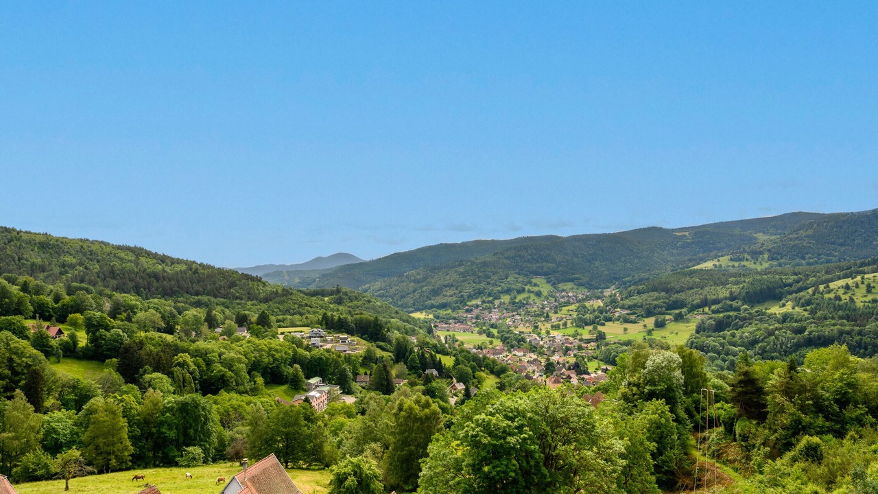 Photo of Others in Muhlbach-sur-Munster