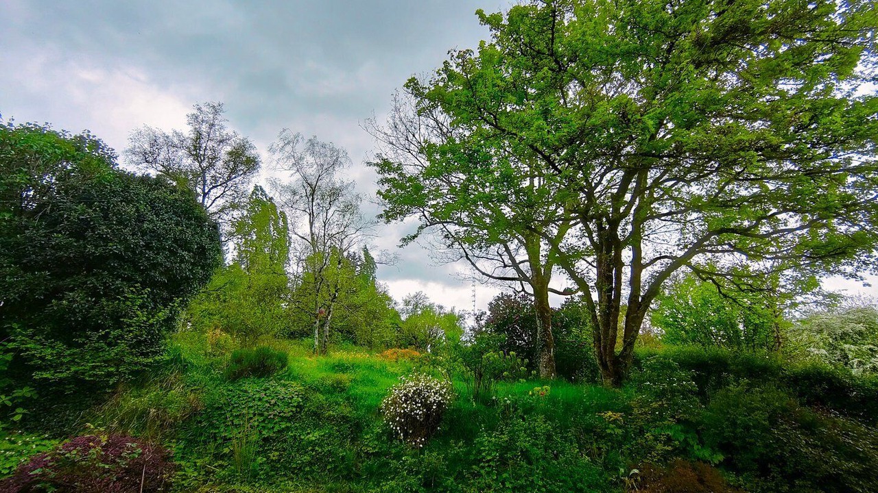 Photo of Outdoor in Ouanne