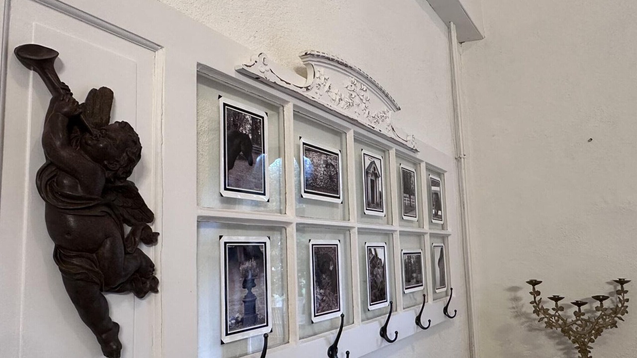 Photo of Others in Souvigny
