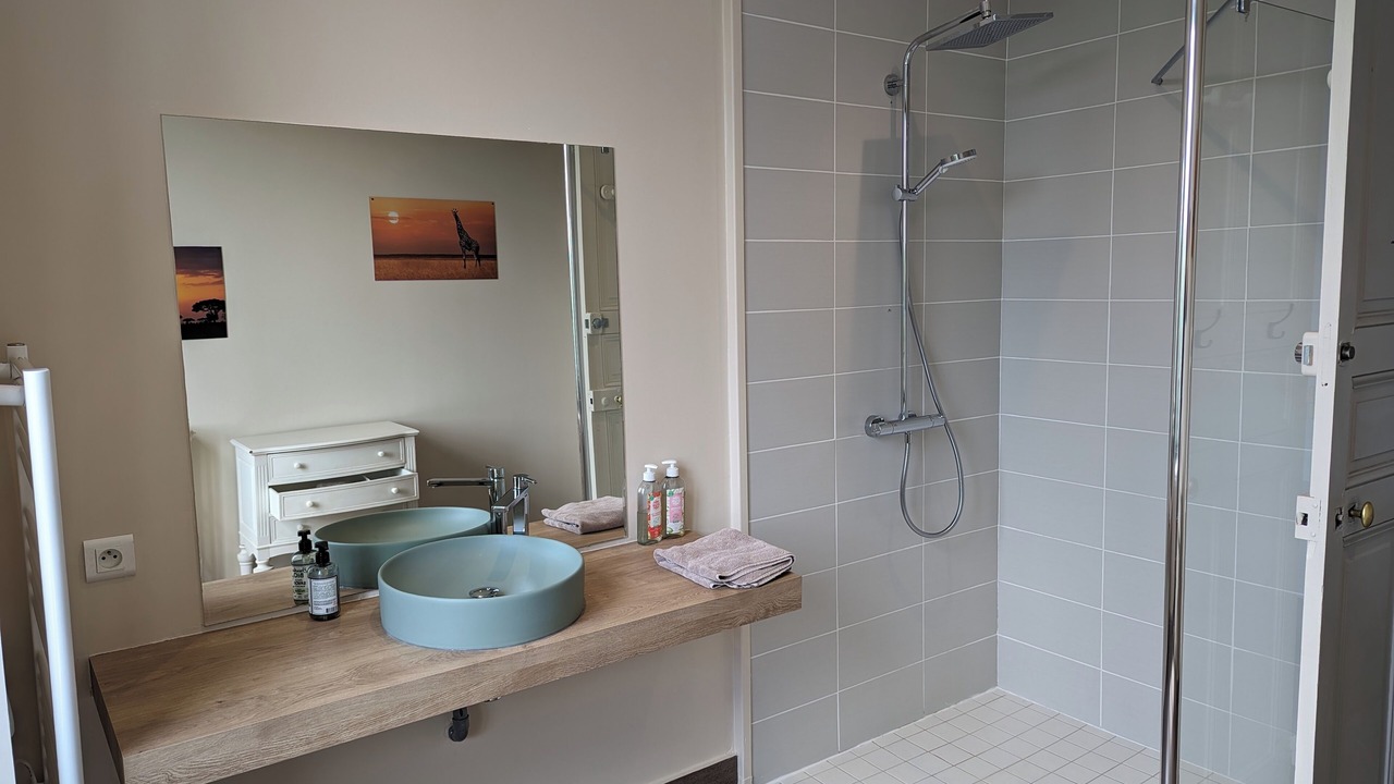 Photo of Bathroom in Parentignat