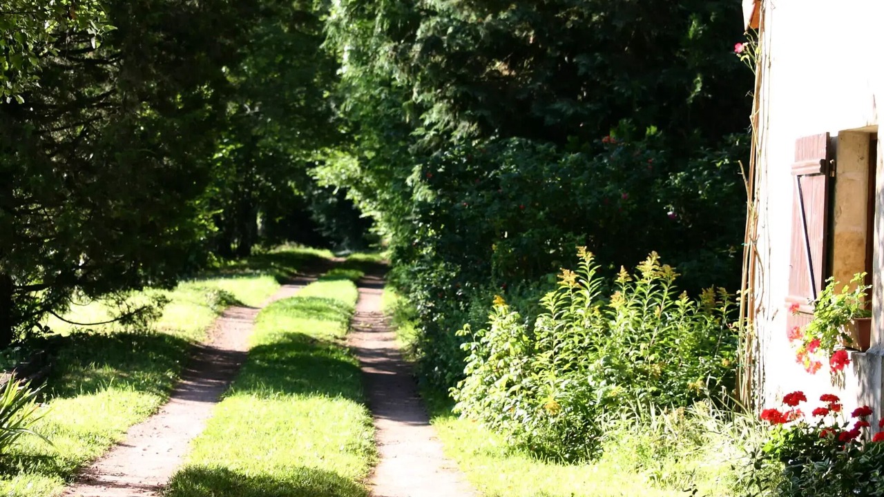 Photo of Outdoor in Saint-Point