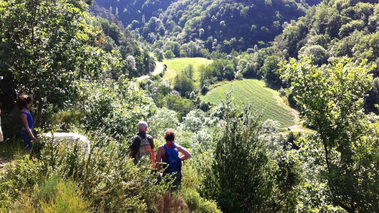 Photo of Outdoor in Ajoux