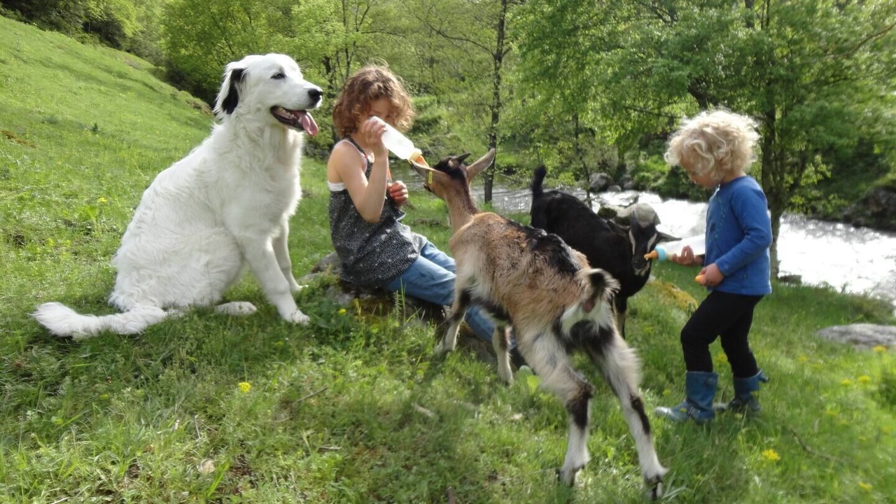 Photo of Outdoor in Ajoux