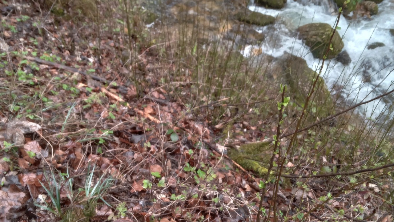 Photo of Outdoor in Faucon