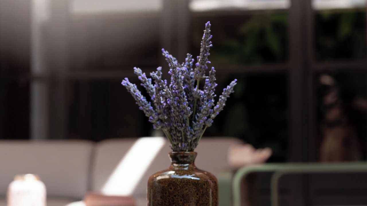Photo of Patio Balcony in Saint-Paul-Trois-Chateaux