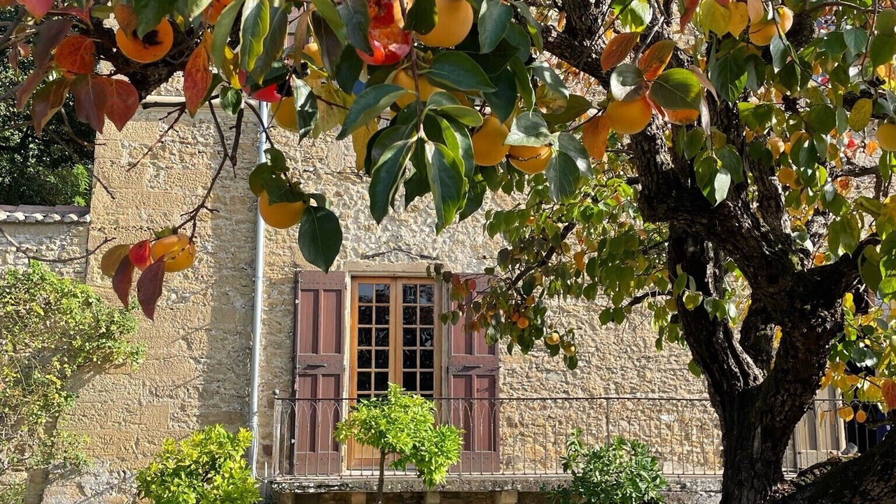 Photo of Outdoor in Valence