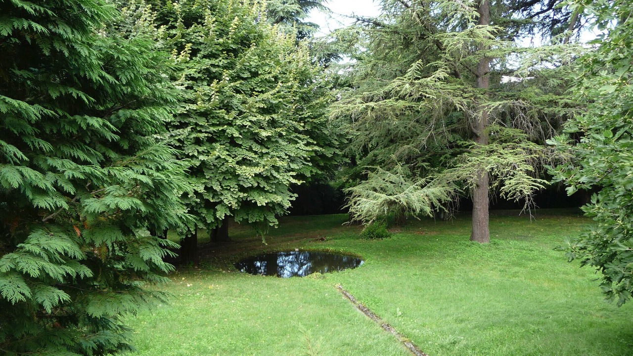 Photo of Outdoor in Valence