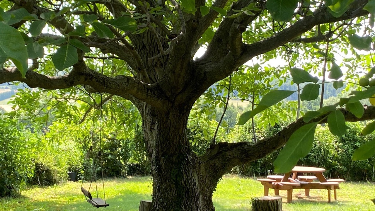 Photo of Outdoor in Allex