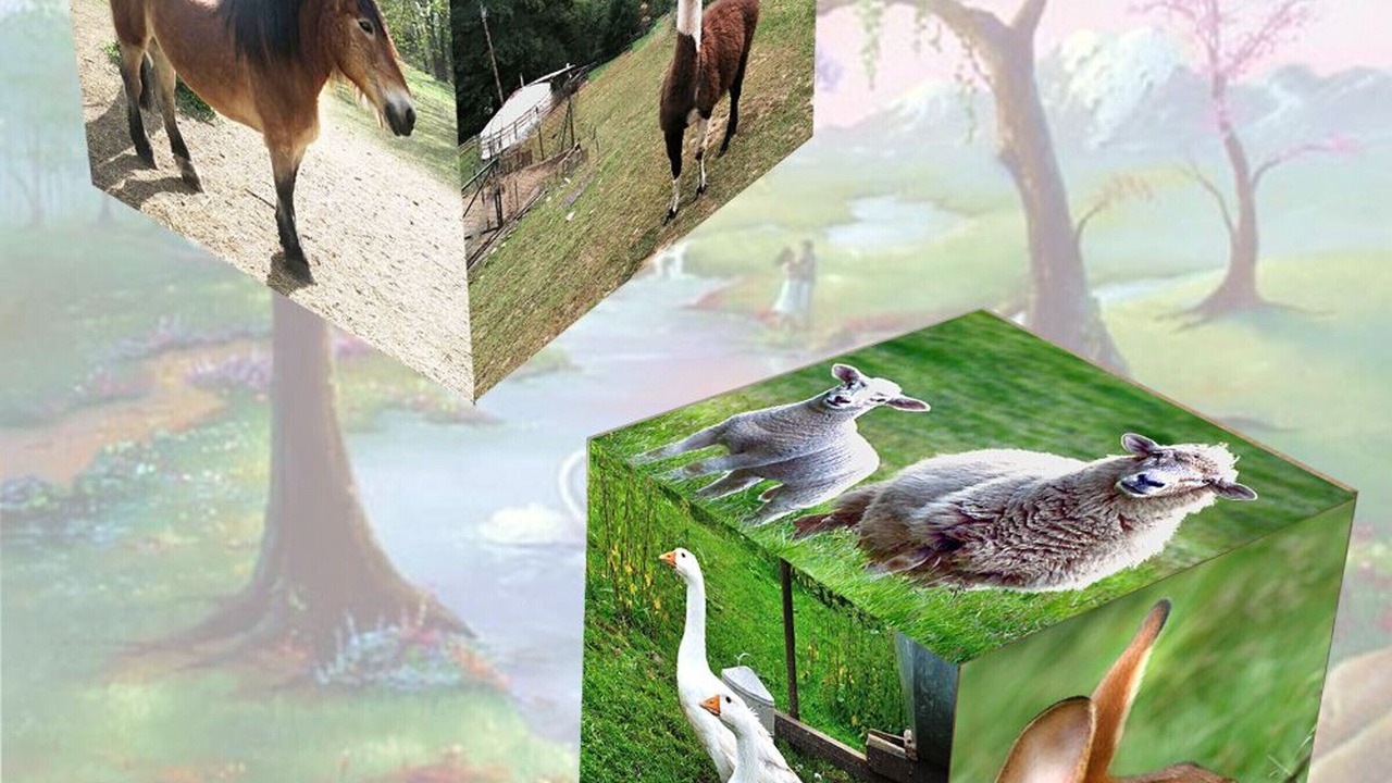 Photo of Others in Ferdrupt