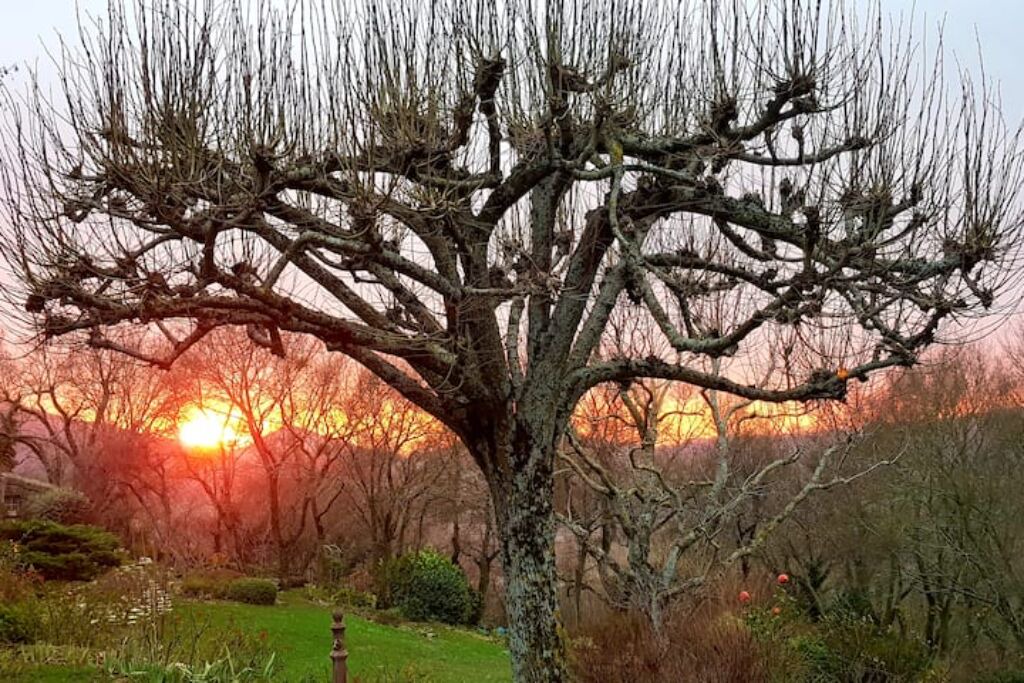 Photo of Outdoor in Soyans