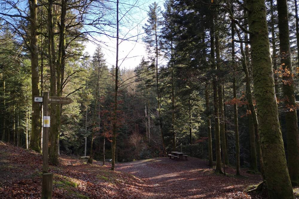 Photo of Others in Girmont-Val-d'Ajol