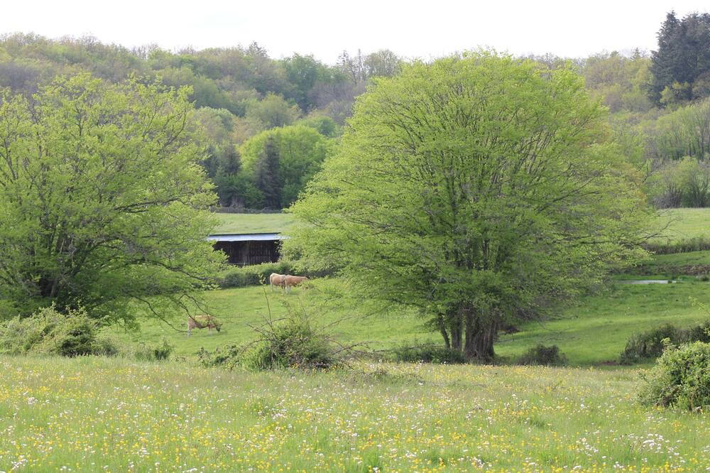 Photo of Others in Bard-le-Regulier