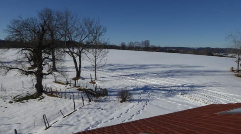 Photo of Outdoor in Le Russey