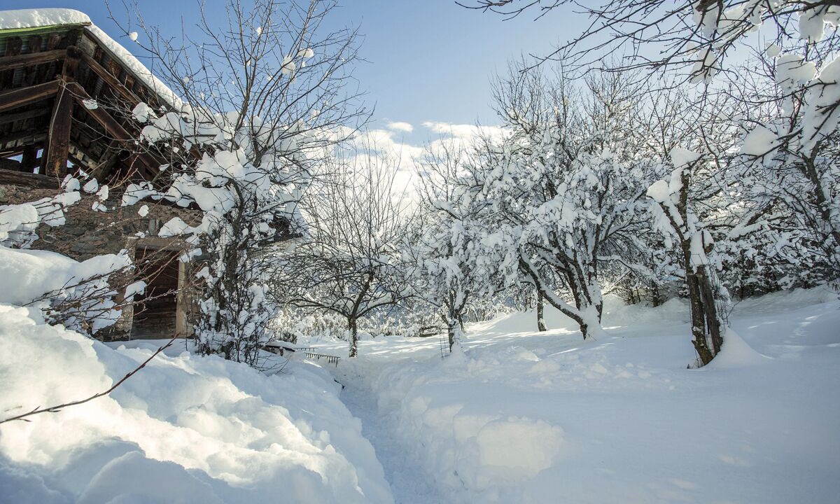 Photo of Outdoor in Les Allues