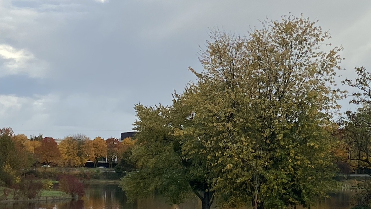 Photo of Outdoor in Courcouronnes