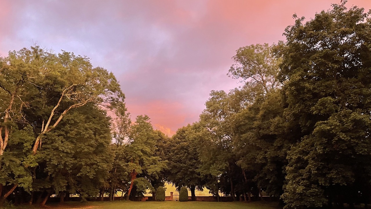 Photo of Outdoor in Coulanges-sur-Yonne