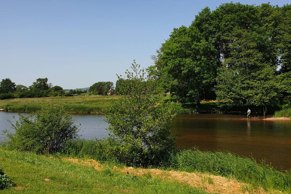 Photo of Outdoor in La Comelle