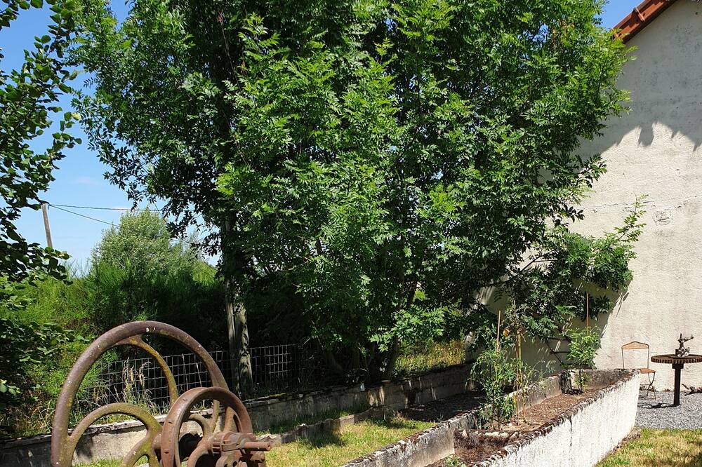 Photo of Outdoor in La Comelle