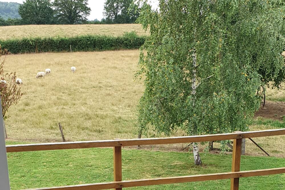 Photo of Outdoor in La Comelle