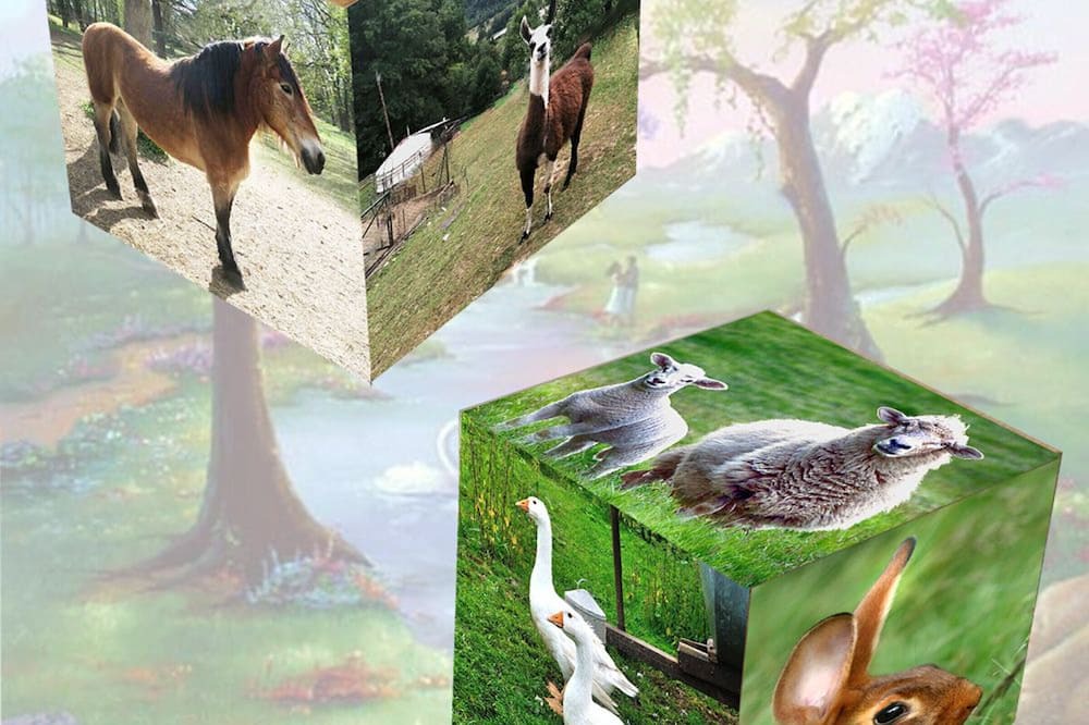 Photo of Outdoor in Ferdrupt