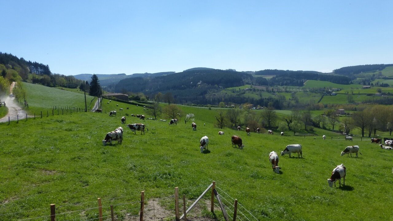 Photo of Outdoor in Amplepuis