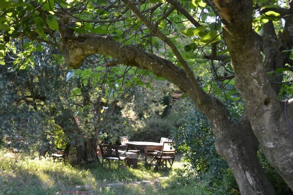 Photo of Outdoor in Chateauneuf-du-Rhone