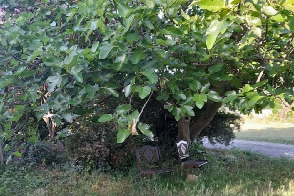 Photo of Outdoor in Chateauneuf-du-Rhone