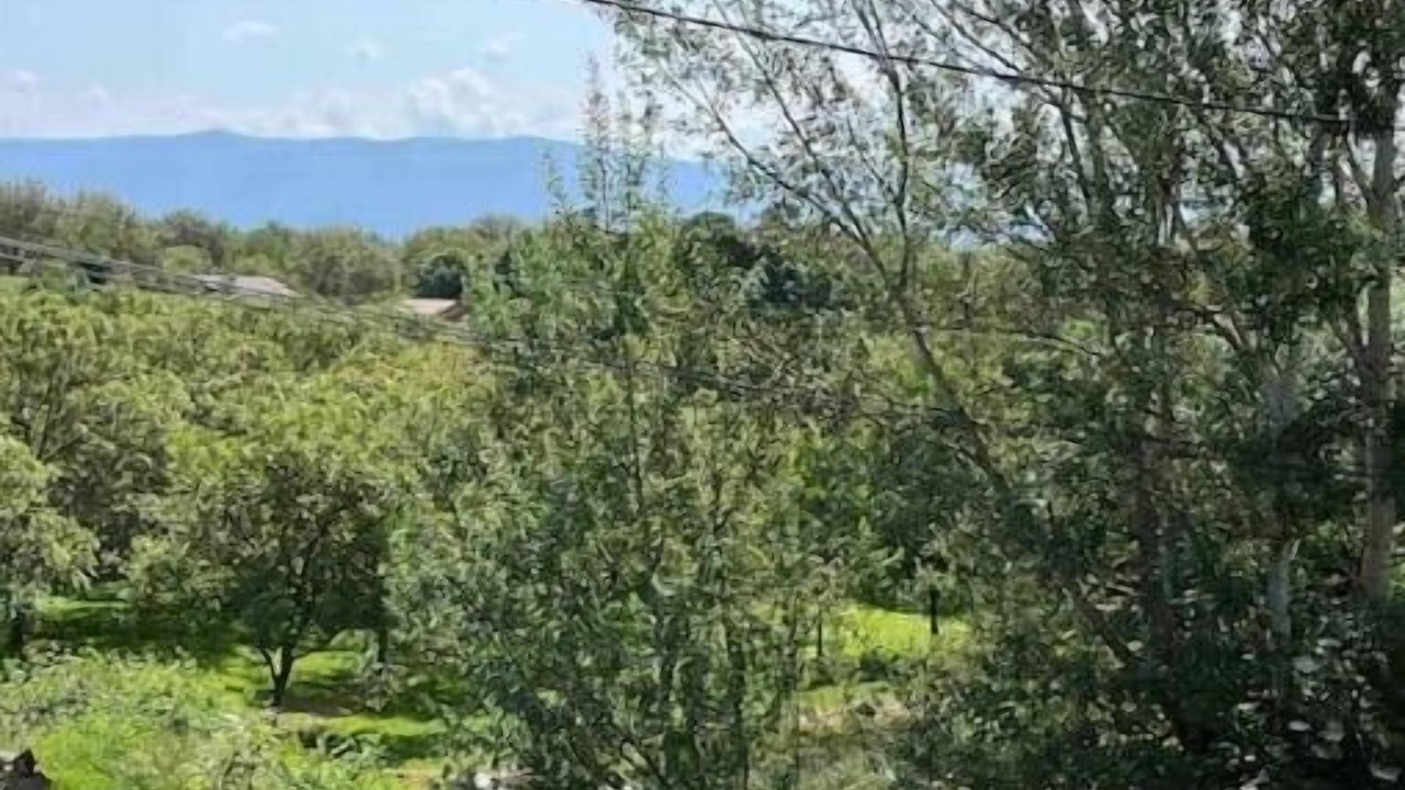 Photo of Outdoor in Saint-Appolinard