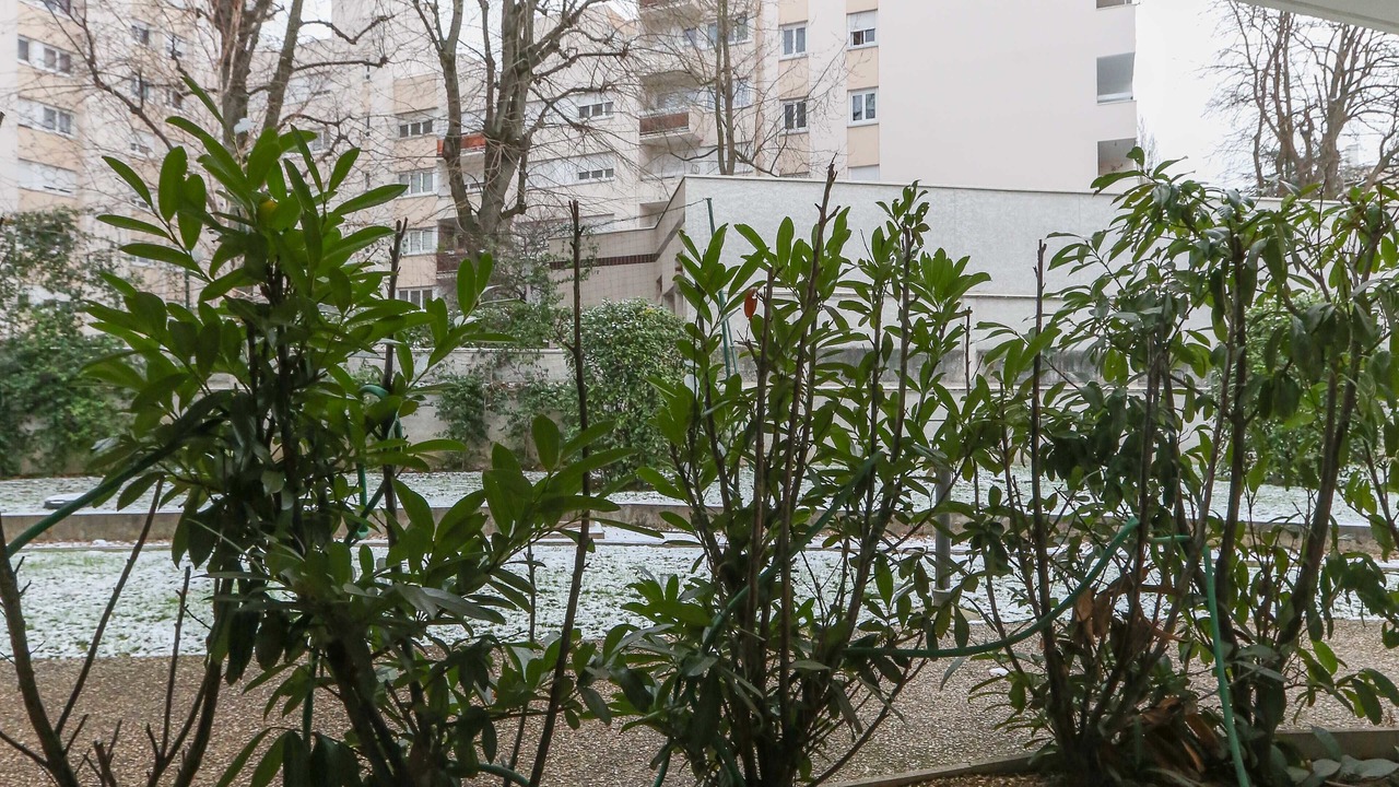Photo of Outdoor in Gentilly