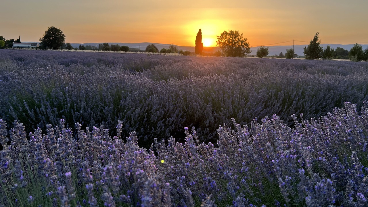 Photo of Outdoor in Chateauneuf-du-Rhone