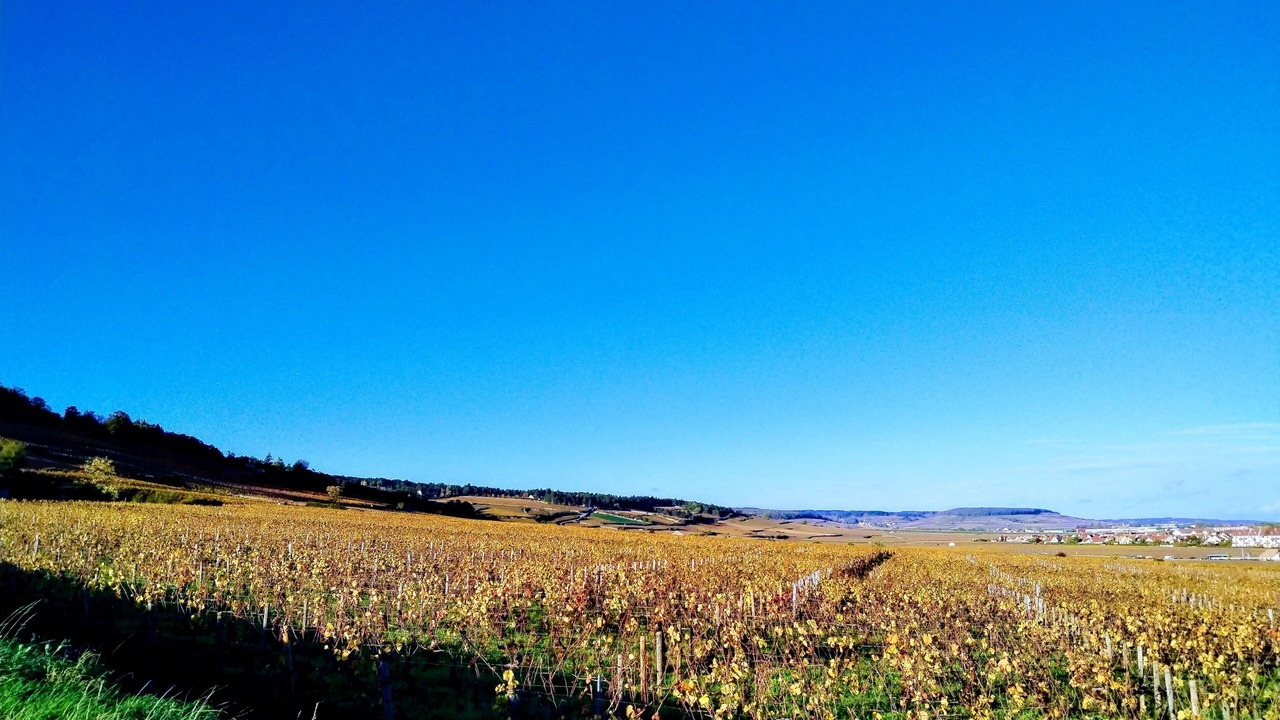 Photo of Outdoor in Mouthier-en-Bresse