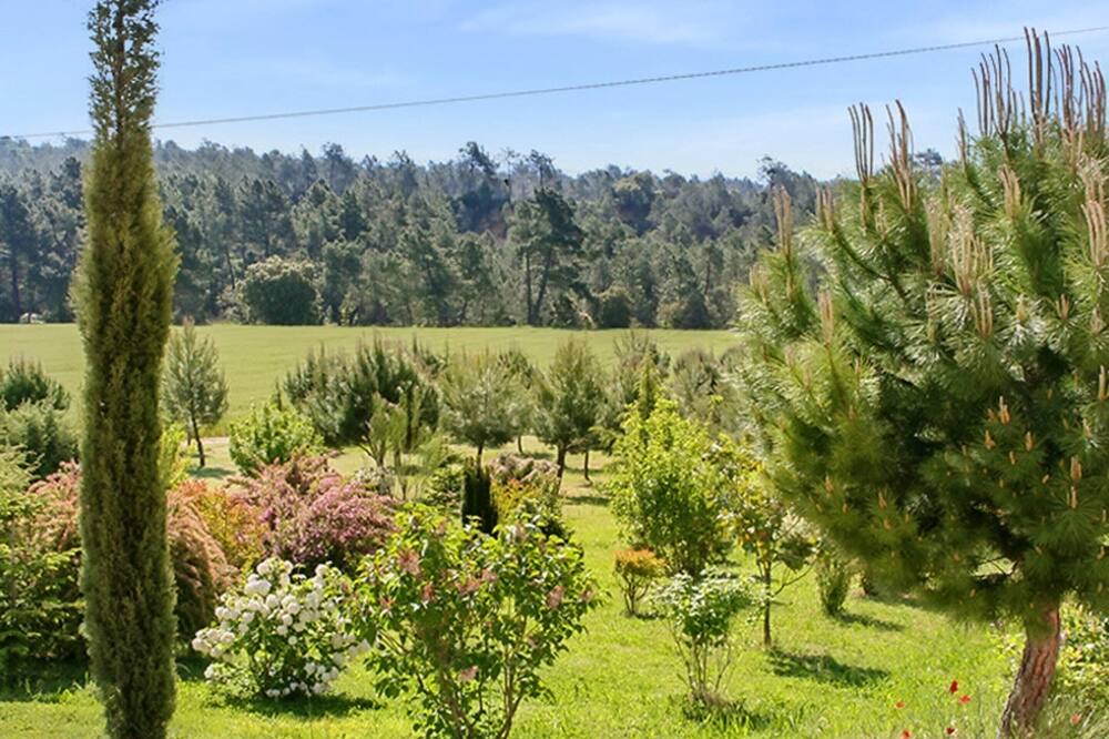 Photo of Outdoor in Mormoiron