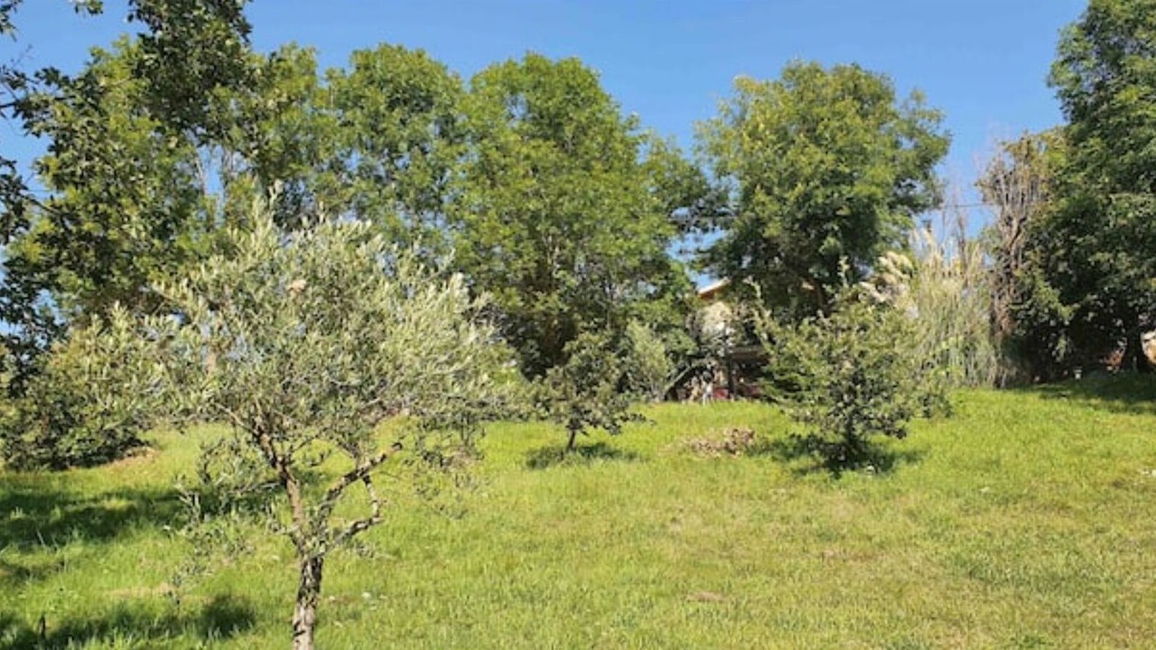 Photo of Outdoor in Colombier-le-Vieux
