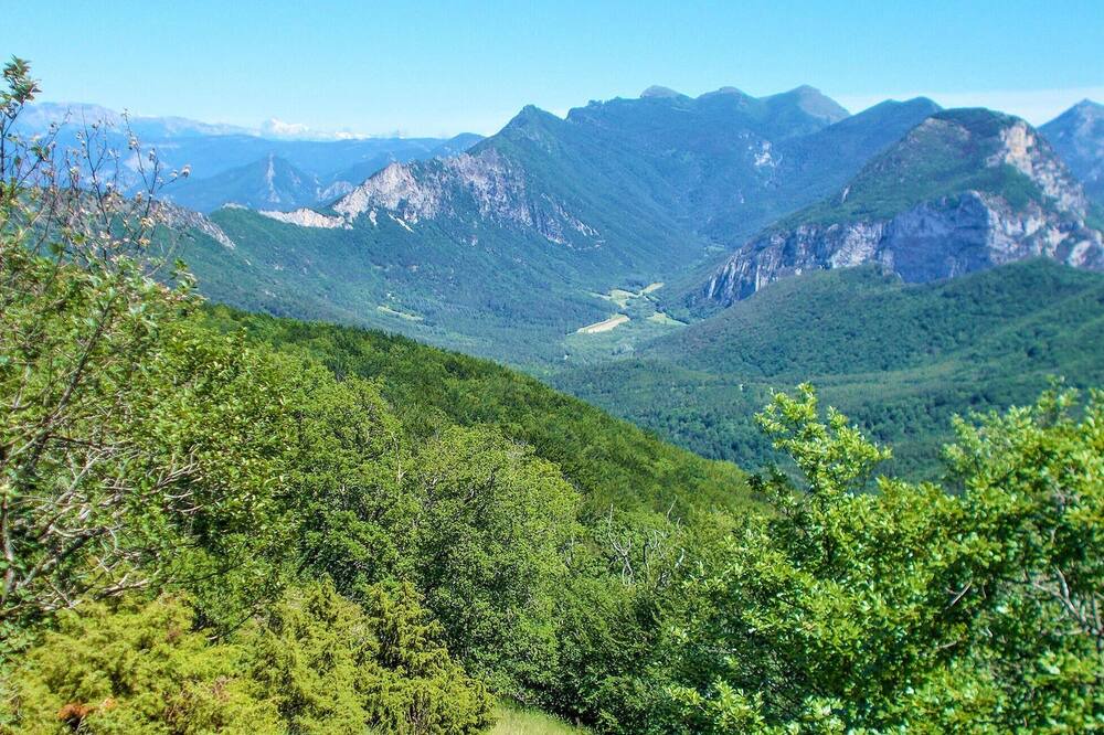 Photo of Others in Taulignan