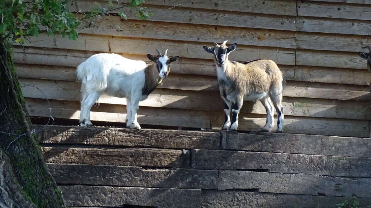 Photo of Outdoor in Boulazac-Isle-Manoire