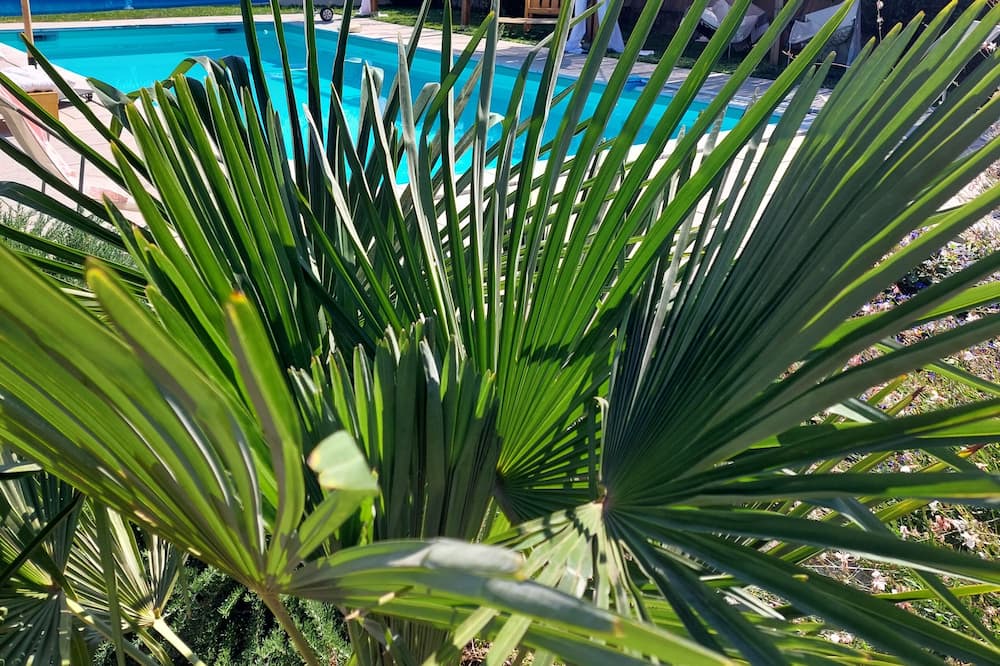 Photo of Outdoor in Rives
