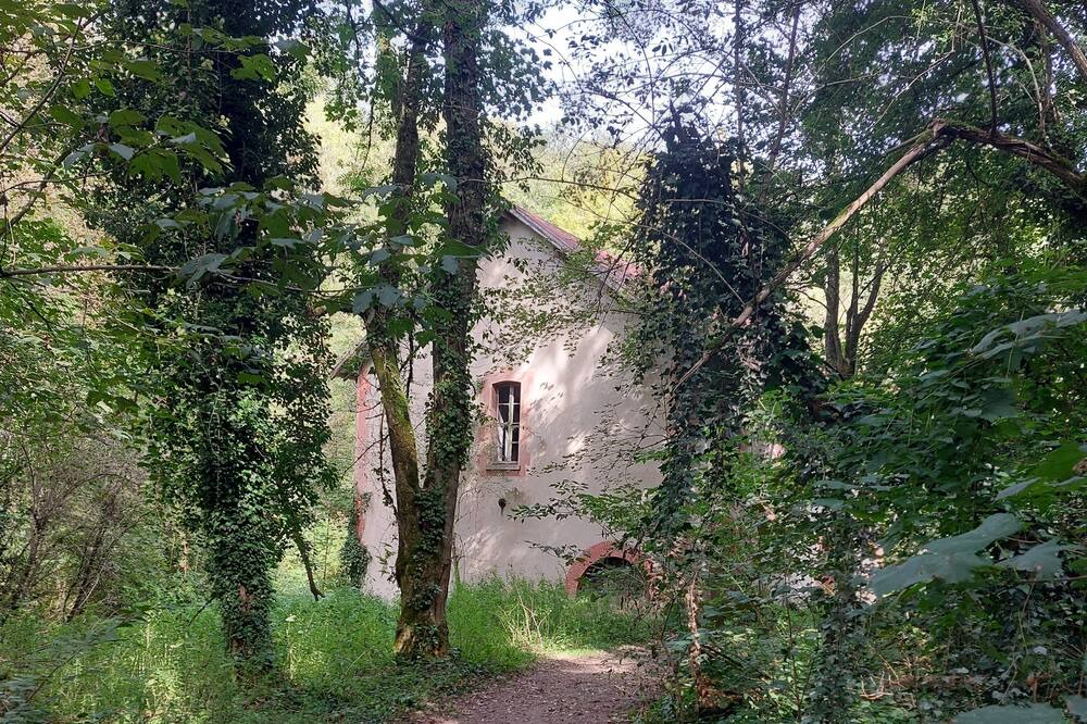 Photo of Outdoor in Rives
