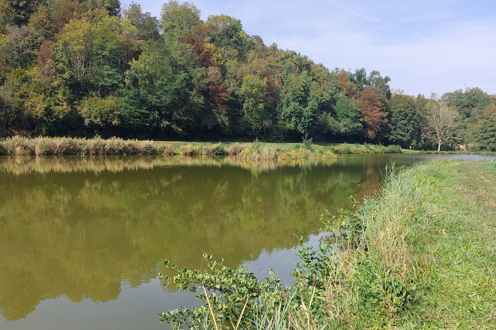 Photo of Outdoor in Rives