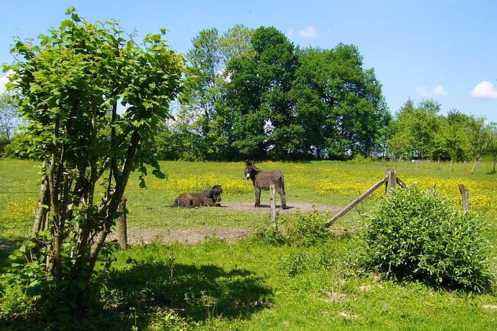 Photo of Others in Plumont