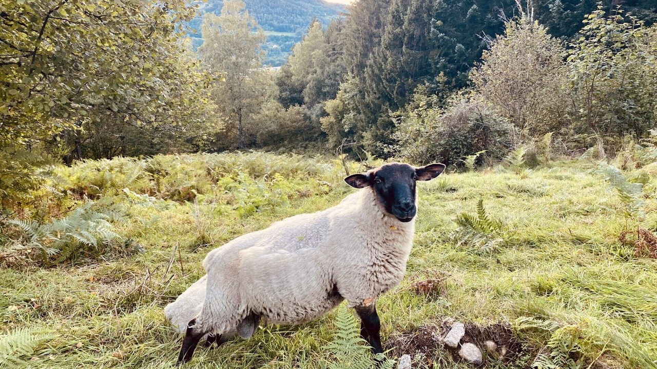 Photo of Outdoor in Rupt-sur-Moselle