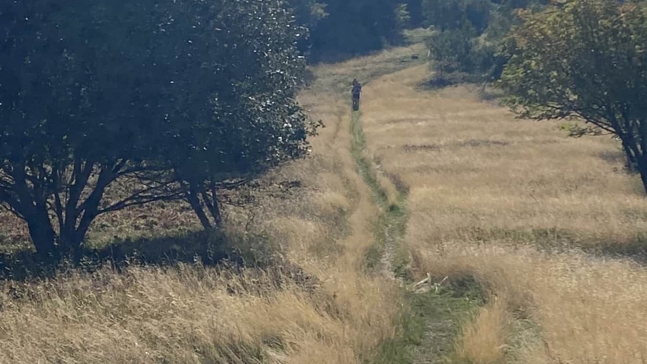 Photo of Others in Rupt-sur-Moselle