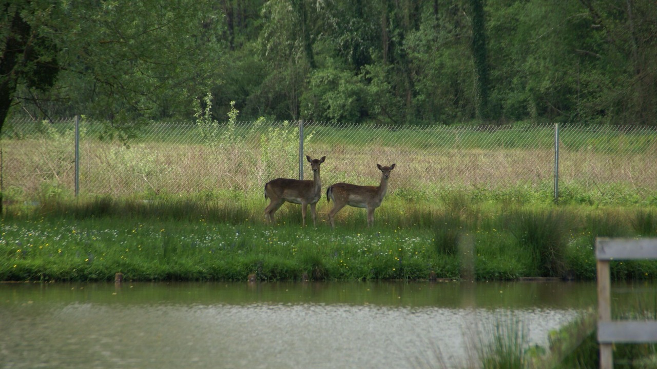 Photo of Outdoor in Delain