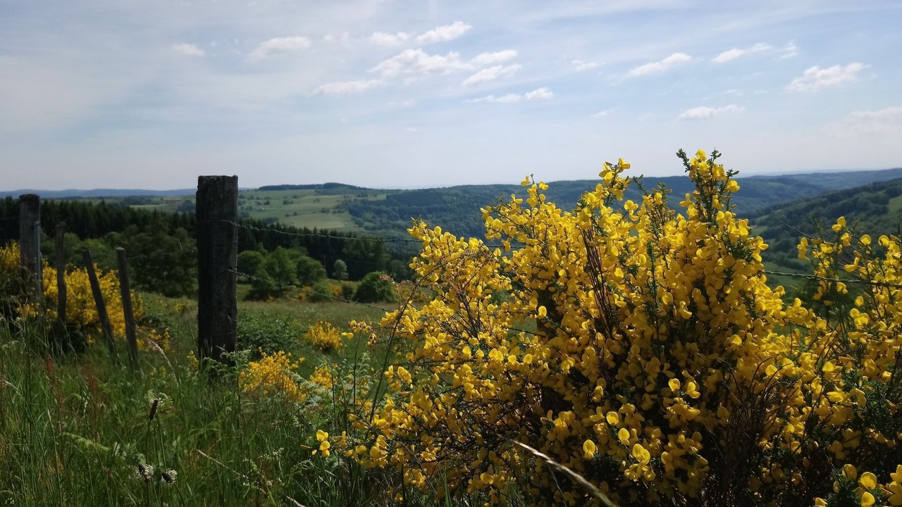 Photo of Outdoor in Haut-du-Them-Chateau-Lambert
