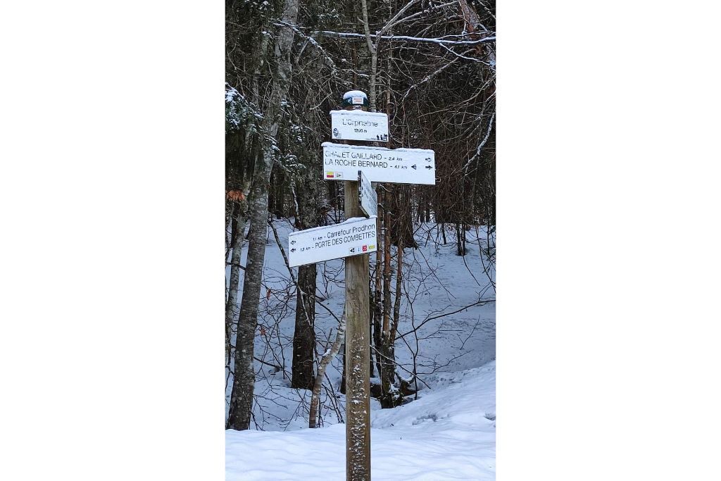 Photo of Others in Bois-d'Amont