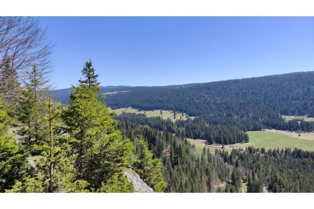 Photo of Outdoor in Bois-d'Amont