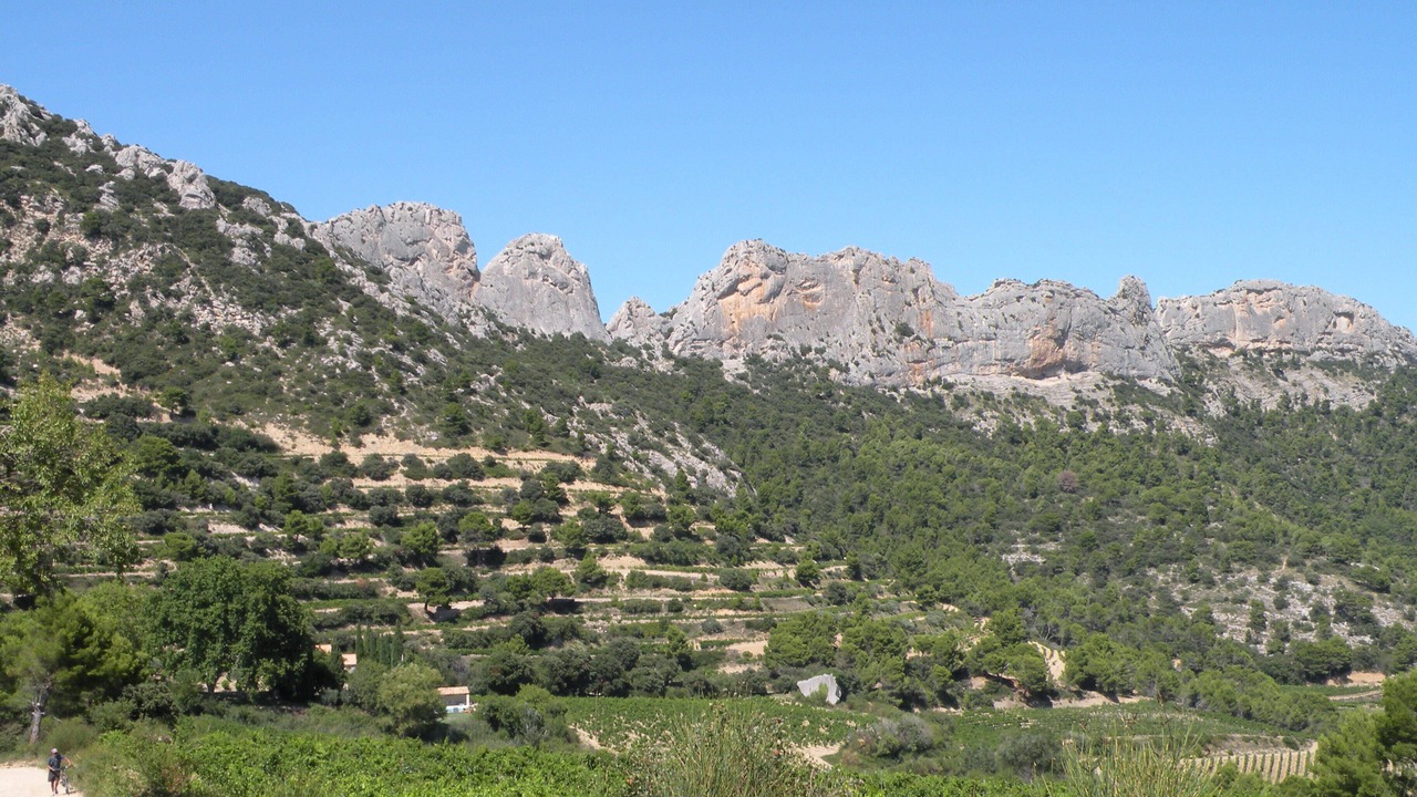 Photo of Others in Aubignan